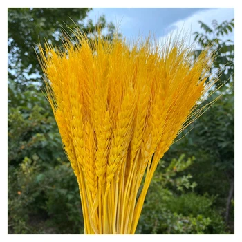 100шт Естествени Сухи Букети Цветя Естествен Необработен Цвят на Сушена за Делегираните от Пшеница Букети, Букети Пшенични Помощ