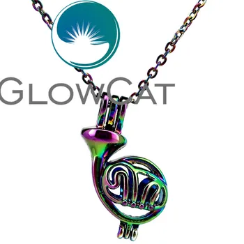 GLOWCAT CC622 Преливащи Цветове Валдхорна, Мъниста Клетка Висулка Етерично Масло Дифузьор Ароматерапия Перлена Клетка на Медальон, Огърлица