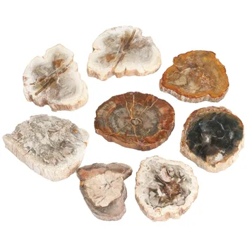 TUMBEELLUWA 1 лот (2 бр.) образецът на Каменна плоча от естествен вкаменената дърво, с Асиметрична Форма, Колекция от Лечебни кристали, Производство на бижута