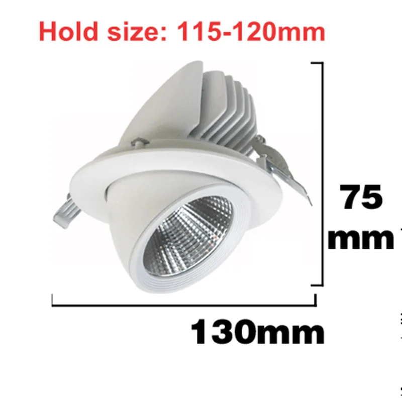 Димиране на Led Spot Лампа 10 W 15 W И 25 W 30 W Лампа За Багажника AC110V 220 В, с Шофьор-Вградени Тавана на Закрито Led Лампа За Дома