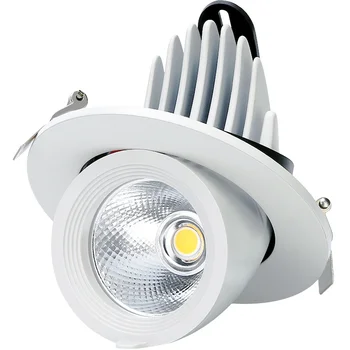 Димиране на Led Spot Лампа 10 W 15 W И 25 W 30 W Лампа За Багажника AC110V 220 В, с Шофьор-Вградени Тавана на Закрито Led Лампа За Дома
